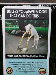 dog shit cleaner.jpg