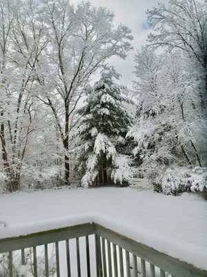 CORINNES YARD.jpg CORINNES YARD.jpg