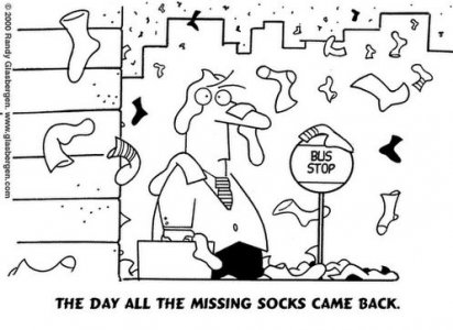 socks.jpg