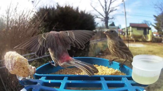 WhatsApp Image 2026-01-24 at 13.41.56.jpeg WhatsApp Image 2026-01-24 at 13.41.56.jpeg