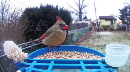 WhatsApp Image 2026-01-24 at 13.41.55 (7).jpeg WhatsApp Image 2026-01-24 at 13.41.55 (7).jpeg