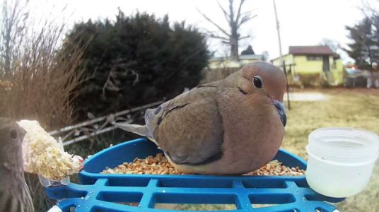 WhatsApp Image 2026-01-24 at 13.41.55 (6).jpeg WhatsApp Image 2026-01-24 at 13.41.55 (6).jpeg