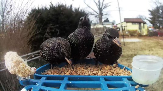 WhatsApp Image 2026-01-24 at 13.41.55 (1).jpeg WhatsApp Image 2026-01-24 at 13.41.55 (1).jpeg