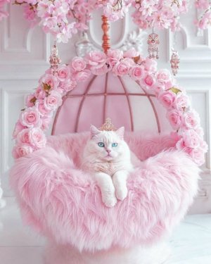 FB_IMG_1769322610456.jpg FB_IMG_1769322610456.jpg