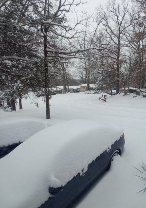 snow-01-24-26.jpg