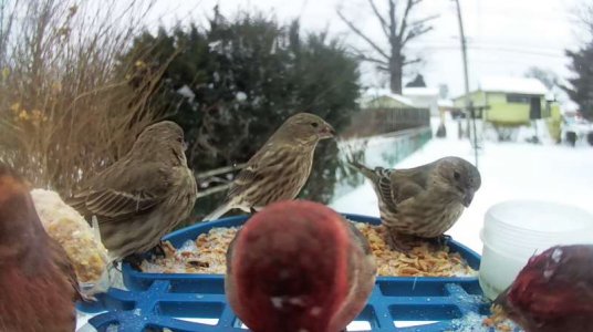 WhatsApp Image 2026-01-25 at 16.16.05 (2).jpeg WhatsApp Image 2026-01-25 at 16.16.05 (2).jpeg