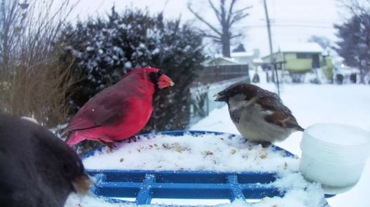 WhatsApp Image 2026-01-25 at 15.33.12 (2).jpeg WhatsApp Image 2026-01-25 at 15.33.12 (2).jpeg