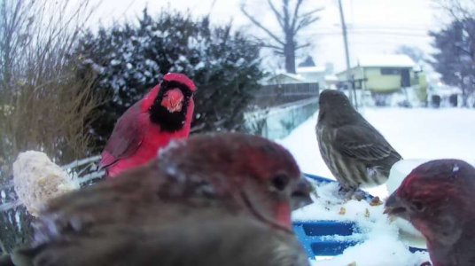 WhatsApp Image 2026-01-25 at 15.33.12 (1).jpeg WhatsApp Image 2026-01-25 at 15.33.12 (1).jpeg