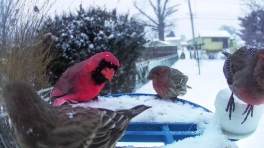 WhatsApp Image 2026-01-25 at 15.33.12.jpeg WhatsApp Image 2026-01-25 at 15.33.12.jpeg