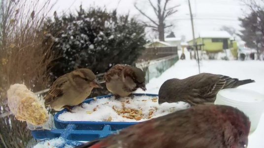 WhatsApp Image 2026-01-25 at 15.33.13.jpeg WhatsApp Image 2026-01-25 at 15.33.13.jpeg