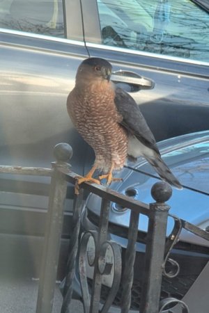 1000015833.jpg 1000015833.jpg