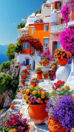 multi floral houses.jpg