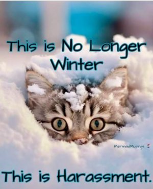 winterHarassment.JPG