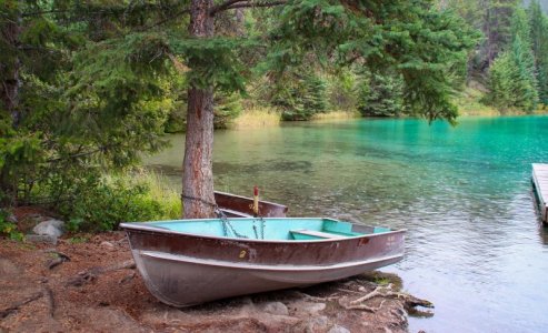 turq jasper-5862210_1280.jpg