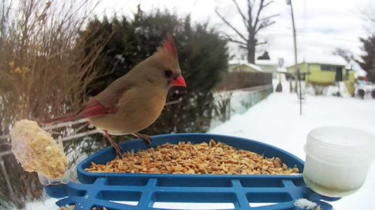 WhatsApp Image 2026-01-26 at 14.19.30 (6).jpeg WhatsApp Image 2026-01-26 at 14.19.30 (6).jpeg