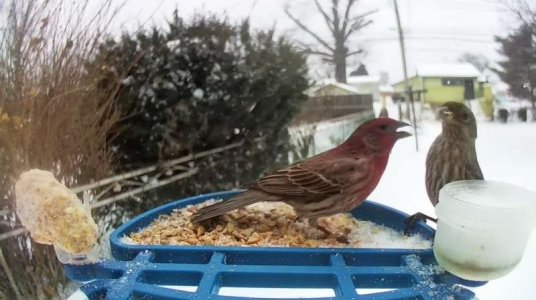 WhatsApp Image 2026-01-26 at 16.55.07.jpeg WhatsApp Image 2026-01-26 at 16.55.07.jpeg