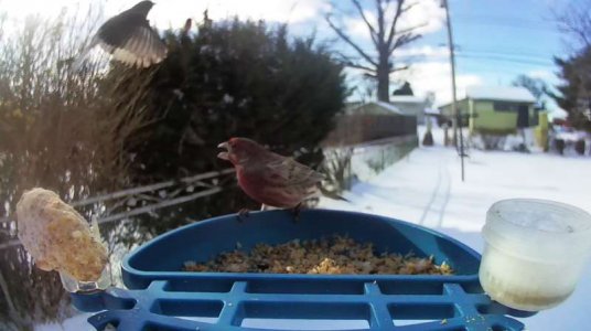 WhatsApp Image 2026-01-26 at 14.19.30 (3).jpeg WhatsApp Image 2026-01-26 at 14.19.30 (3).jpeg