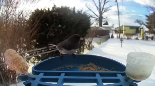 WhatsApp Image 2026-01-26 at 16.51.04.jpeg WhatsApp Image 2026-01-26 at 16.51.04.jpeg