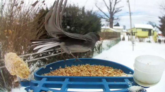 WhatsApp Image 2026-01-26 at 16.54.37.jpeg