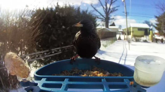 WhatsApp Image 2026-01-26 at 14.19.30 (2).jpeg