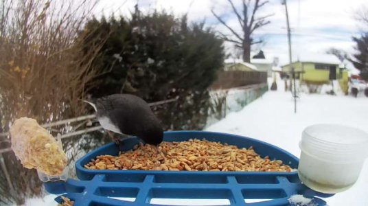 WhatsApp Image 2026-01-26 at 14.19.30 (1).jpeg