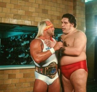 Hulk and Andre'.jpeg