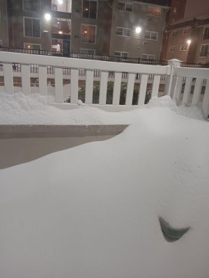 20260125_191538.jpg 20260125_191538.jpg