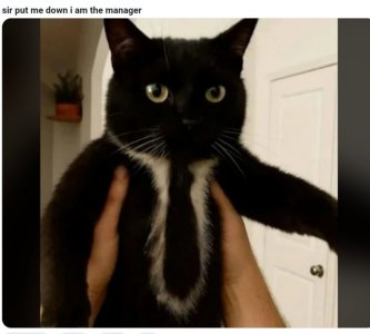 IMG_20260127_065010.jpg IMG_20260127_065010.jpg