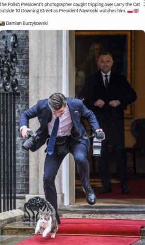 IMG_2720.jpeg IMG_2720.jpeg