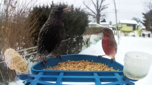 WhatsApp Image 2026-01-27 at 13.07.01.jpeg WhatsApp Image 2026-01-27 at 13.07.01.jpeg