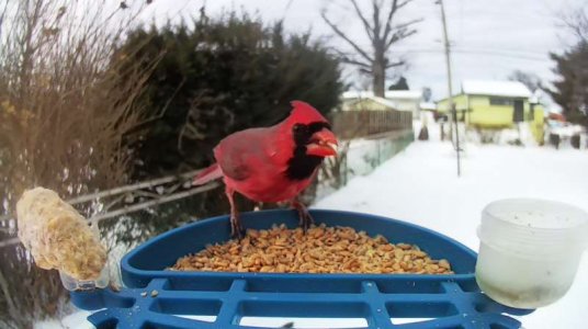 WhatsApp Image 2026-01-27 at 13.07.01 (2).jpeg WhatsApp Image 2026-01-27 at 13.07.01 (2).jpeg