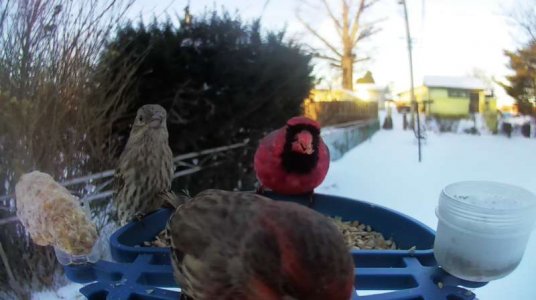 WhatsApp Image 2026-01-27 at 13.07.01 (4).jpeg WhatsApp Image 2026-01-27 at 13.07.01 (4).jpeg