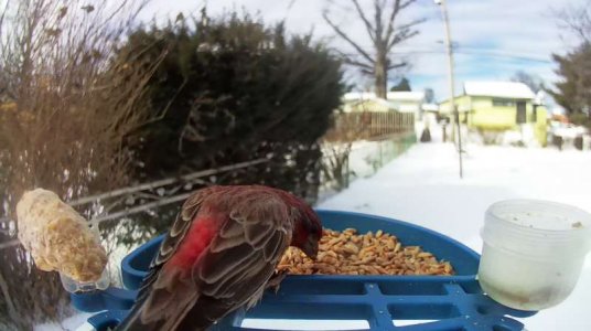 WhatsApp Image 2026-01-27 at 13.07.01 (1).jpeg WhatsApp Image 2026-01-27 at 13.07.01 (1).jpeg