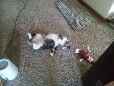 audrey nov 10.jpg audrey nov 10.jpg