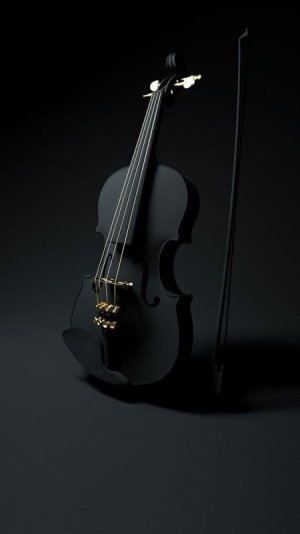 B&W violin.jpg