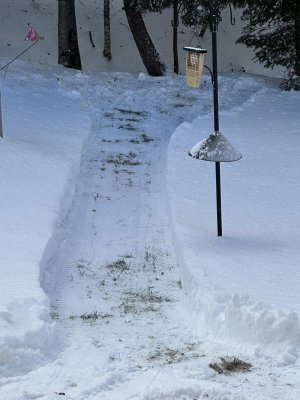 IMG_2269.jpeg IMG_2269.jpeg