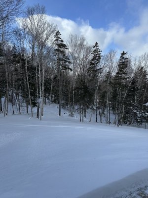 IMG_2270.jpeg IMG_2270.jpeg