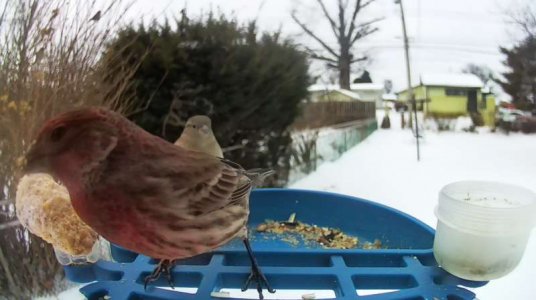 WhatsApp Image 2026-01-28 at 13.08.35 (2).jpeg WhatsApp Image 2026-01-28 at 13.08.35 (2).jpeg