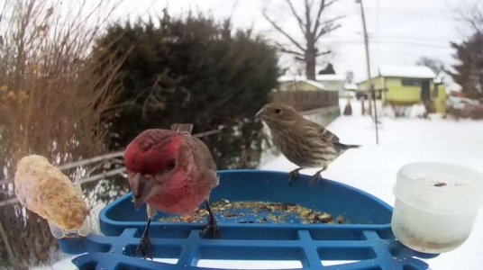 WhatsApp Image 2026-01-28 at 13.08.34.jpeg WhatsApp Image 2026-01-28 at 13.08.34.jpeg