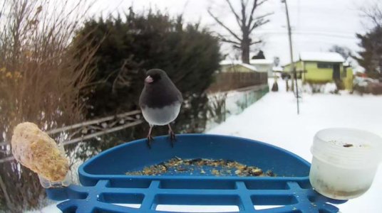 WhatsApp Image 2026-01-28 at 13.08.34 (1).jpeg WhatsApp Image 2026-01-28 at 13.08.34 (1).jpeg