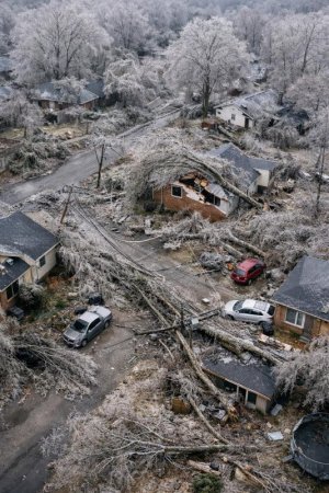 IMG_7111.jpeg IMG_7111.jpeg