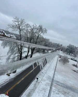 IMG_7102.jpeg IMG_7102.jpeg