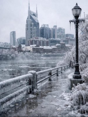 IMG_7100.jpeg IMG_7100.jpeg