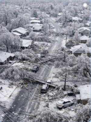 IMG_7095.jpeg IMG_7095.jpeg