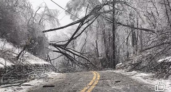 IMG_7096.jpeg IMG_7096.jpeg