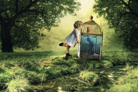 green child-3084186_1920.jpg