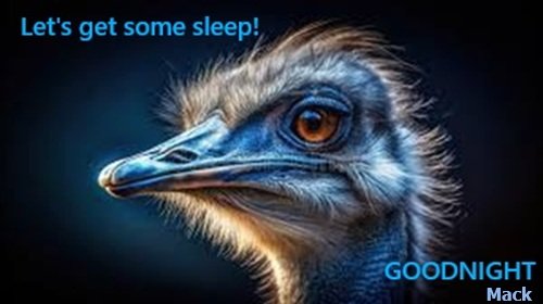 night 07 30 25 and 01 29 26.jpg