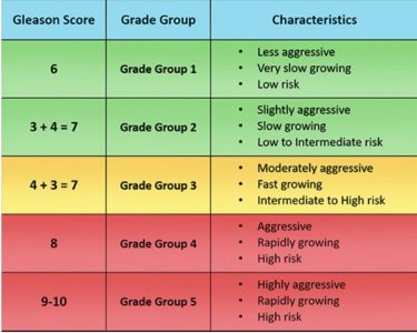 IMG_7129.jpeg IMG_7129.jpeg