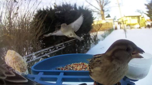 WhatsApp Image 2026-01-30 at 15.37.52 (9).jpeg WhatsApp Image 2026-01-30 at 15.37.52 (9).jpeg