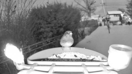 WhatsApp Image 2026-01-30 at 15.37.52 (8).jpeg WhatsApp Image 2026-01-30 at 15.37.52 (8).jpeg